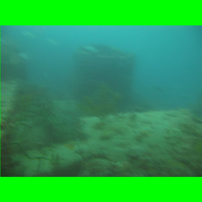 XMas Dive 06-Dec-09_498.JPG